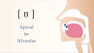 n̥  unvoiced apical alveolar nasal stop [upl. by Sedberry]