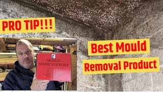 Whats in my Survey Kit 01 The Best Black Mould Removal TreatmentProduct [upl. by Anifad]