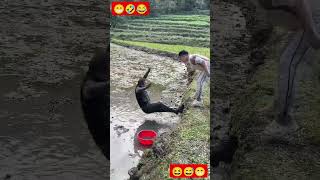 Very funny comedy show 🤣😂😆 funny comedyfun comedyvideos comedy shorts [upl. by Aremus]