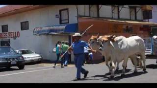 Oxcart Parade in Atenas Costa Rica [upl. by Boehmer]