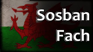 Welsh Folk Song  Sosban Fach [upl. by Oberheim]