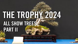 Bonsai Trophy 2024 all show trees part 2 [upl. by Elletsirk201]