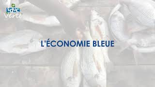 Léconomie Bleue [upl. by Huesman17]