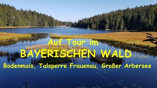 Rad und Wandertour Bayerischer Wald  Bodenmais  Zwiesel  Talsperre Frauenau  Großer Arbersee [upl. by Adnilam]