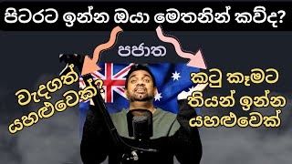 How to Survive in Abroad පිටරට හෙළයින්ගේ බෙදීම  Australia Sinhala  පජාත කතා [upl. by Llezom]