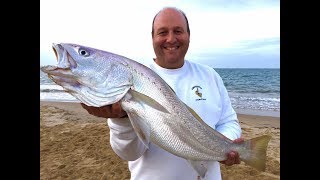 PESCA SURFCASTING LA CORVINA CEBOS APAREJOS PLOMOS GAMETAS [upl. by Tatia]