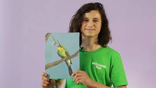 Young Artist is Painting an Incredible Bird Calendar  Earth Matters  Scitech WA [upl. by Gader]