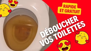 Comment déboucher les toilettes WC en 2 minutes [upl. by Kiernan294]