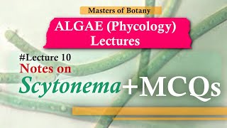 Lecture 10  Scytonema Life Cycle  MCQs Cyanophyceae  Algae Lecture Notes [upl. by Gwyneth216]