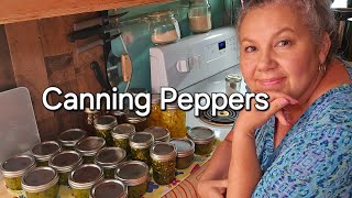 Canning Bell Peppers and Onion Pepper Relish Day 2 [upl. by Aisset89]