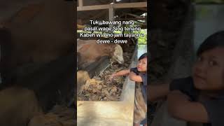 Sabar lan tlaten bolo🫣😚 viralvideo like sapi [upl. by Hands320]