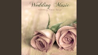 Elegant Wedding Wedding Reception Songs [upl. by Hsekar985]