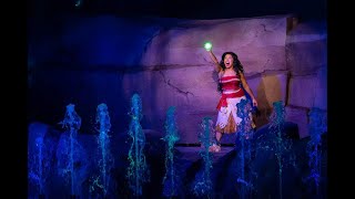 Fantasmic BRoll Walt Disney World 2022 [upl. by Thurston51]