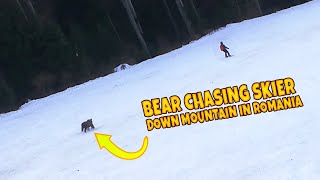 Close Call on the Slopes Skier Escapes Bear Chase [upl. by Adriell]