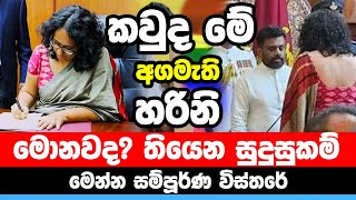 අගමැති හරිනි අමරසූරිය  Sri Lanka New Prime Minister  Harini Amarasuriya  Anura Kumara Dissanayake [upl. by Hartmunn]