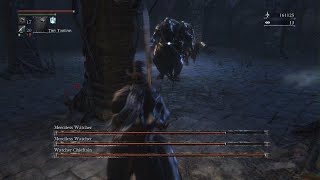 Bloodborne Chalice dungeon Funny [upl. by Itin969]