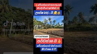 ලක්ෂ 20 ට පර්චස් 105ක වටිනා ඉඩමක් houseforsalesrilanka director ganemulla house realestate [upl. by Iggem131]