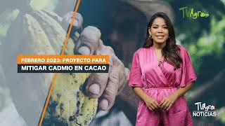 Proyecto para eliminar el cadmio del cacao  TvAgro por Juan Gonzalo Angel Restrepo [upl. by Annauqaj]