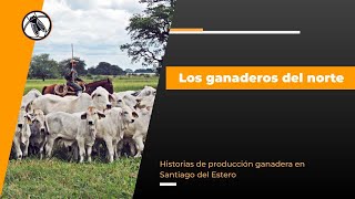 Bichos de Campo TV Los ganaderos del norte [upl. by Sammy]