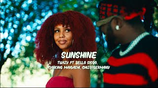 SUNSHINE Official Lyric Video Visualiser Twizy ft Bello Sisqo Tynking Maigashi Chizo1germany [upl. by Rolo899]