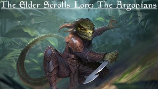 The Elder Scrolls Lore The Argonians [upl. by Pulling]