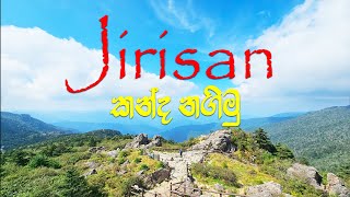 Jirisan කන්ද නගිමු  Jirisan mountain South Korea지리산 Hiking EyeTracking [upl. by Waller]