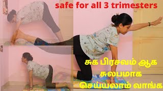 எளிய முறையில் normal delivery exercise in tamil  pregnancy exercise  exercise for normal delivery [upl. by Kuehn235]