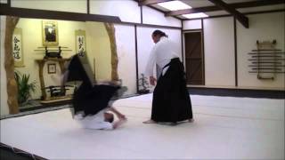 Ai Hanmi Katate Dori Ude Kime Nage [upl. by Dody406]