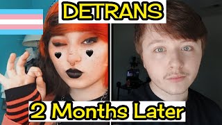 My 2Month Detransition What’s Changed [upl. by Novah270]