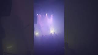 Afsky  Live  Munich 16102024 SHORT [upl. by Simona]