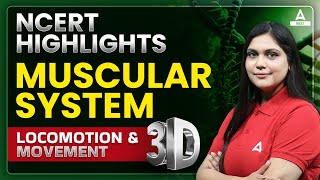 Locomotion and Movement Class 11 One Shot  Muscular System in 3D  NEET 2024  Garima Goel [upl. by Arihs577]