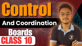 Control And Coordination Neurons Part 2 Class 10 Boards 20242025 [upl. by Ydderf]