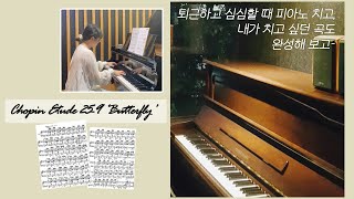 퇴근 후 직장인의 취미 생활 Chopin Etude Op25 No9 Butterfly [upl. by Nyleahcim]