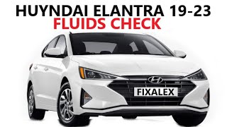 FLUIDS CHECK ON Hyundai ELANTRA 2019 2020 2021 2022 2023 2024 REMOVE [upl. by Heurlin723]