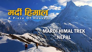 Our 5 Days Mardi Himal Trek in Nepal  4200M above Annapurna Region travelvlog [upl. by Geaghan]