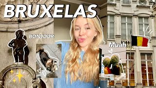 COZY VLOG DIAS EM BRUXELAS [upl. by Aikkan]