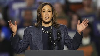 Democrats exposed for ‘shaming’ men who refuse to vote for Kamala Harris [upl. by Averyl]