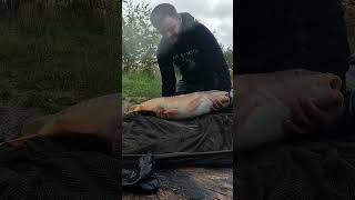 22lb carp New PB fishing [upl. by Corwin]