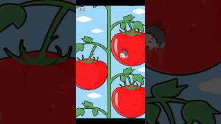 Lazy boy farming tomatoes 🍅 Somebody help him shorts gaming youtubeshorts viral [upl. by Nodnol734]