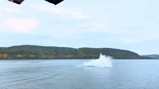 Une incroyable vidéo de plusieurs baleines qui sautent hors de leau  Tourisme CôteNord [upl. by Aikel608]