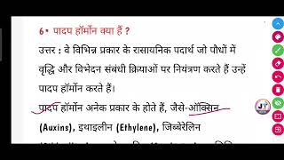 पादप हार्मोन क्या है  padap hormone kya hai [upl. by Ellehcsar]