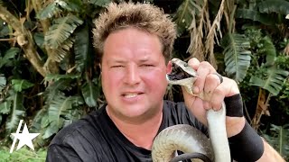 Dingo Dinkelman YouTube Reptile Handler Dead After Snake Bite [upl. by Adolphe245]