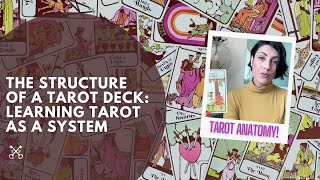 The Structure of a Tarot Deck Understanding Tarot as a System [upl. by Marih13]