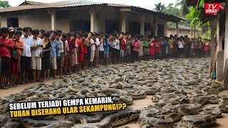 Viral Fenomena Ular Serbu Permukiman Sebelum Gempa Tuban Kemarin Tanda Tanda Alam [upl. by Nanreik]