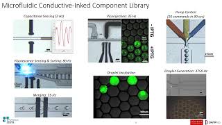 DAMP Microfluidics Fabrication Service [upl. by Riana]