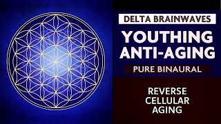 Youthing AntiAging  Pure Binaural Beats  Reverse Cellular Aging [upl. by Alcinia775]