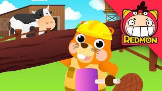 Builder beaver Song  Animal songs  Nursery Rhymes  REDMON [upl. by Ancel11]