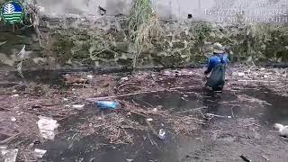 Cleaning Operation In Tunasan River  PACWOOD [upl. by Main276]