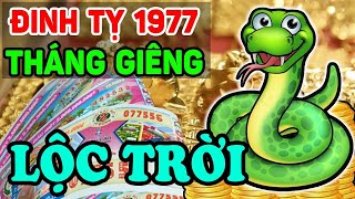 Tử Vi Tuổi Đinh Tỵ 1977 Tháng 1 Âm Ra Tết RỦNG RỈNH TIỀN TIÊU Vàng Đắp Đầy Người  LPTV [upl. by Cheke]