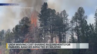 US agency to cover matching costs following New Mexico fire [upl. by Sion]